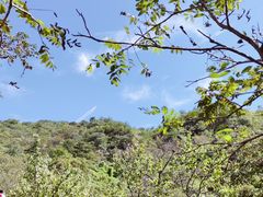 -大岭沟猕猴桃谷风景区