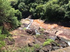 -广州白江湖森林公园