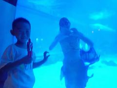 -烟台海昌鲸鲨海洋公园