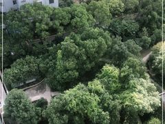 -道顺射箭·团建·骑射(张杨路店)