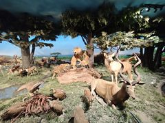 -国家自然博物馆