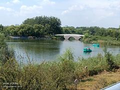 -大兴滨河森林公园