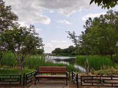 -大兴滨河森林公园