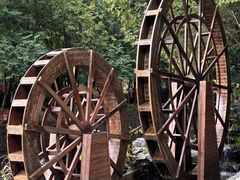 -广州白江湖森林公园