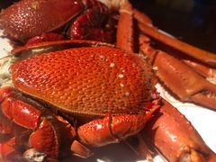 -济南富力凯悦酒店