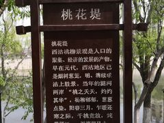 -桃花堤公园