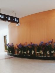 -天津伊美尔医疗整形美容专科医院