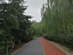 -大兴滨河森林公园