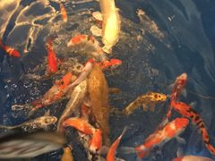 -北京邮电会议中心