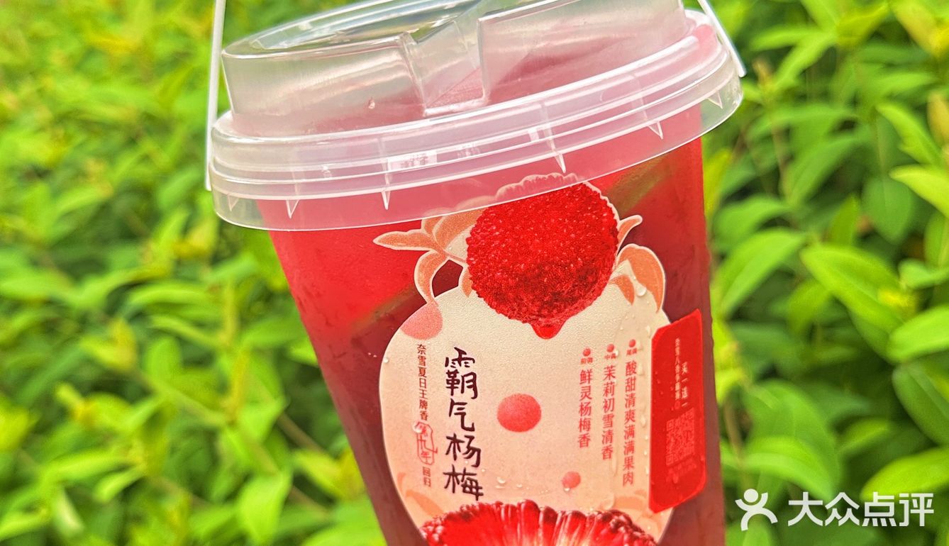 杨梅自由的一天～🌟