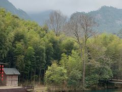 -祁门牯牛降观音堂风景区