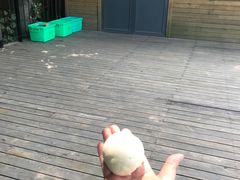 -林间山庄