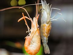 -V-ONE西雅图海鲜自助餐厅(仓山万达广场店)