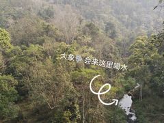 -野象谷景区