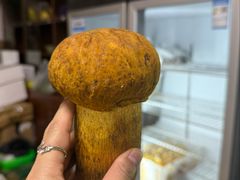 -双喜农庄·菌香园(安居家园店)