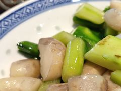 芦笋鲜菱-兰边碗(鼓楼店)