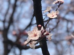 -合肥生态公园