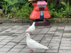 -磁器口古镇