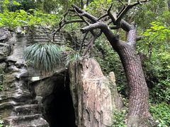 -常德桃花源景区