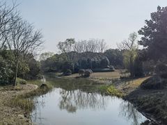 -东平国家森林公园