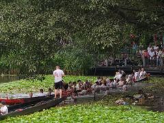 -荔湾湖公园