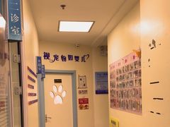 -全心全意连锁动物医院·微创中心·内科急重症·心脏专科(丰管路店)