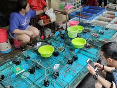 -清平路水族市场