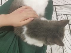 -白夜2D咖啡馆