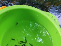 -白水寺森林公园