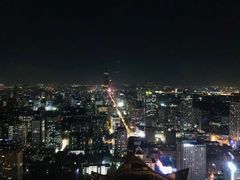 -南京金陵饭店