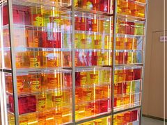 -哈根达斯(绵阳涪城万达店)
