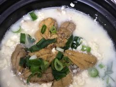 -海胆小馆(东北水饺·春柳店)