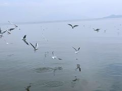 -深圳湾公园(南山区)