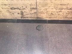-皮拉尔圣母圣殿主教座堂
