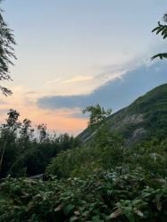 -Zoolung Zoolung动物主题公园(海信广场店)