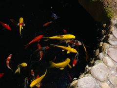 -茶米人台湾料理·精致快简餐