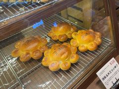 -乡田小墅(展览馆路JK FUN商城店)