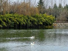 -西安汉城湖景区