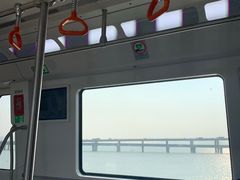 -八婆婆烧仙草(曾厝垵店)