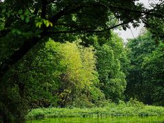 -西溪国家湿地公园