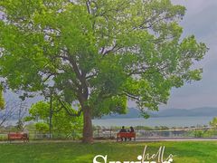 -东钱湖旅游度假区