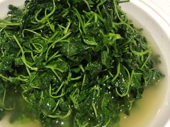 金花菜-新梅华(太仓万达店)