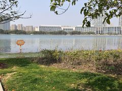 -尚贤河湿地