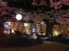 -蓝鲸湾汤泉(包河店)