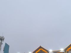 -0317火锅鸡·清真(正达店)