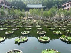 -石峰岩寺