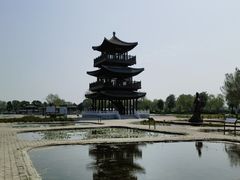 -白洋淀景区