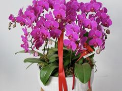 -F.Story 花和故事(新天地店)