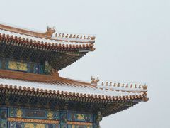 -故宫博物院(故宫)