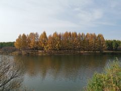 -塞罕坝国家级自然保护区